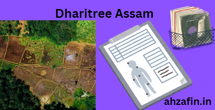 Dharitree Assam